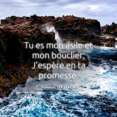 Picture 05 - Psaumes 119:114 LSG - Tu es mon asile et mon bouclier; J'espère en ta - Bible Verse Picture