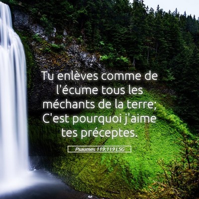Picture 05 - Psaumes 119:119 LSG - Tu enlèves comme de l'écume tous les méchants - Bible Verse Picture