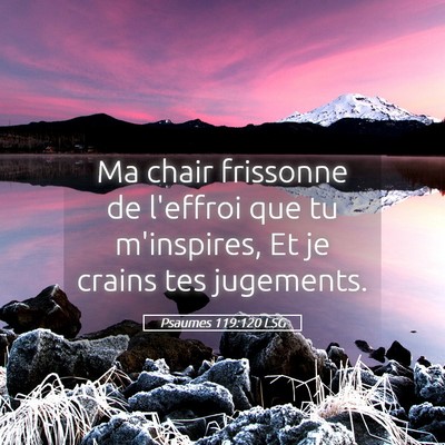 Picture 05 - Psaumes 119:120 LSG - Ma chair frissonne de l'effroi que tu m'inspires, - Bible Verse Picture