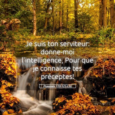 Picture 05 - Psaumes 119:125 LSG - Je suis ton serviteur: donne-moi l'intelligence, - Bible Verse Picture