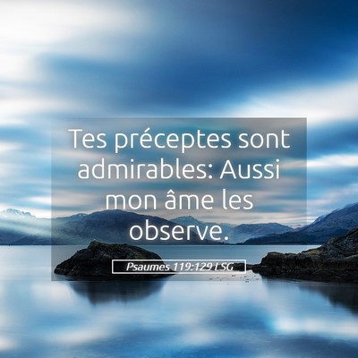 Picture 05 - Psaumes 119:129 LSG - Tes préceptes sont admirables: Aussi mon âme - Bible Verse Picture