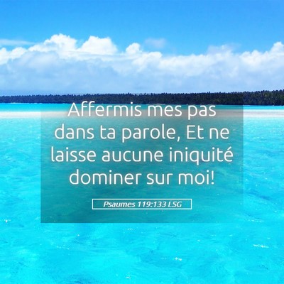 Picture 05 - Psaumes 119:133 LSG - Affermis mes pas dans ta parole, Et ne laisse - Bible Verse Picture