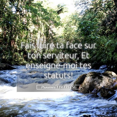 Picture 05 - Psaumes 119:135 LSG - Fais luire ta face sur ton serviteur, Et - Bible Verse Picture