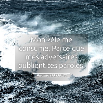 Picture 05 - Psaumes 119:139 LSG - Mon zèle me consume, Parce que mes adversaires - Bible Verse Picture
