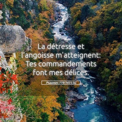Picture 05 - Psaumes 119:143 LSG - La détresse et l'angoisse m'atteignent: Tes - Bible Verse Picture