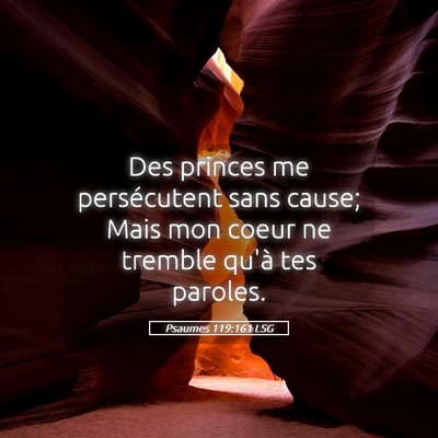 Picture 05 - Psaumes 119:161 LSG - Des princes me persécutent sans cause; Mais mon - Bible Verse Picture