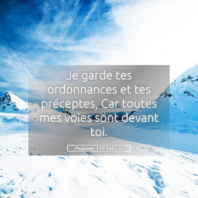 Picture 05 - Psaumes 119:168 LSG - Je garde tes ordonnances et tes préceptes, Car - Bible Verse Picture