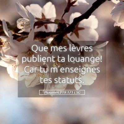Picture 05 - Psaumes 119:171 LSG - Que mes lèvres publient ta louange! Car tu - Bible Verse Picture