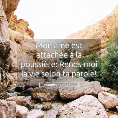 Picture 05 - Psaumes 119:25 LSG - Mon âme est attachée à la poussière: - Bible Verse Picture