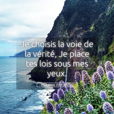 Picture 05 - Psaumes 119:30 LSG - Je choisis la voie de la vérité, Je place tes - Bible Verse Picture