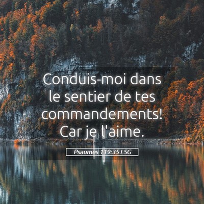 Picture 05 - Psaumes 119:35 LSG - Conduis-moi dans le sentier de tes commandements! - Bible Verse Picture