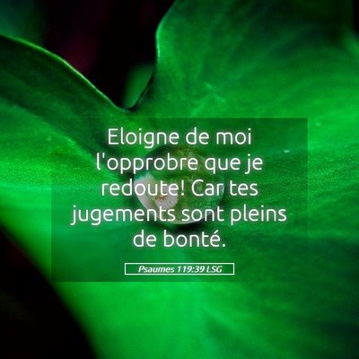 Picture 05 - Psaumes 119:39 LSG - Eloigne de moi l'opprobre que je redoute! Car tes - Bible Verse Picture