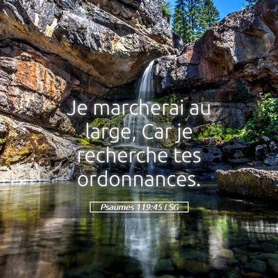 Picture 05 - Psaumes 119:45 LSG - Je marcherai au large, Car je recherche tes - Bible Verse Picture