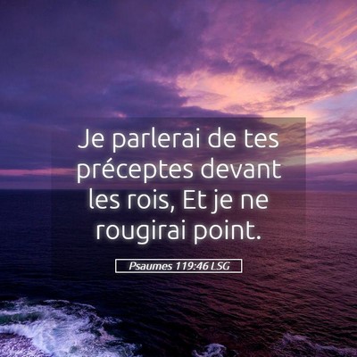 Picture 05 - Psaumes 119:46 LSG - Je parlerai de tes préceptes devant les rois, Et - Bible Verse Picture