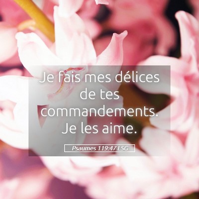 Picture 05 - Psaumes 119:47 LSG - Je fais mes délices de tes commandements. Je les - Bible Verse Picture