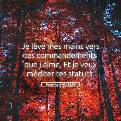 Picture 05 - Psaumes 119:48 LSG - Je lève mes mains vers tes commandements que - Bible Verse Picture