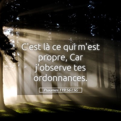Picture 05 - Psaumes 119:56 LSG - C'est là ce qui m'est propre, Car j'observe tes - Bible Verse Picture