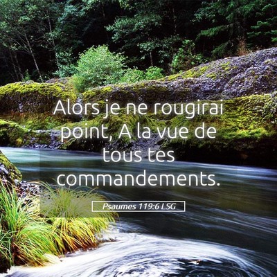 Picture 05 - Psaumes 119:6 LSG - Alors je ne rougirai point, A la vue de tous tes - Bible Verse Picture