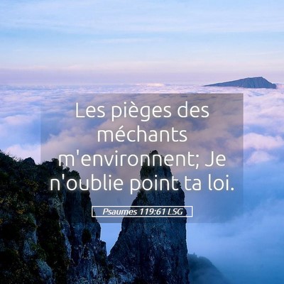 Picture 05 - Psaumes 119:61 LSG - Les pièges des méchants m'environnent; Je - Bible Verse Picture