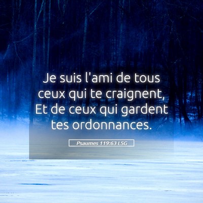 Picture 05 - Psaumes 119:63 LSG - Je suis l'ami de tous ceux qui te craignent, Et - Bible Verse Picture