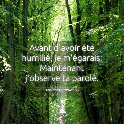 Picture 05 - Psaumes 119:67 LSG - Avant d'avoir été humilié, je m'égarais; - Bible Verse Picture