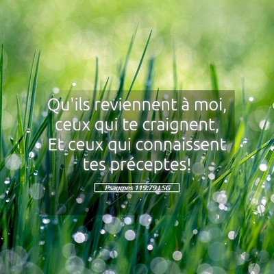 Picture 05 - Psaumes 119:79 LSG - Qu'ils reviennent à moi, ceux qui te craignent, - Bible Verse Picture