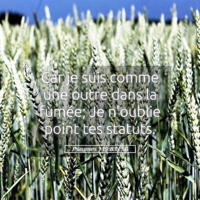 Picture 05 - Psaumes 119:83 LSG - Car je suis comme une outre dans la fumée; Je - Bible Verse Picture