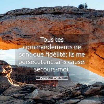 Picture 05 - Psaumes 119:86 LSG - Tous tes commandements ne sont que fidélité; - Bible Verse Picture