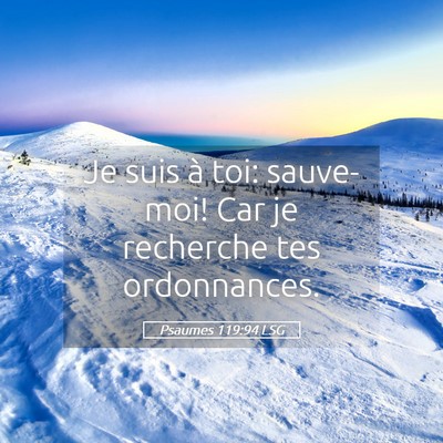 Picture 05 - Psaumes 119:94 LSG - Je suis à toi: sauve-moi! Car je recherche tes - Bible Verse Picture