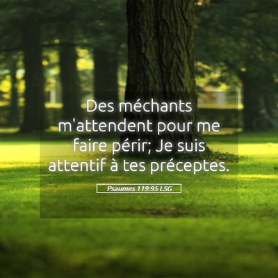 Picture 05 - Psaumes 119:95 LSG - Des méchants m'attendent pour me faire périr; - Bible Verse Picture
