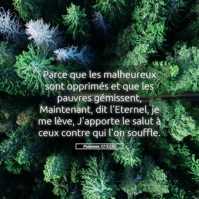 Picture 05 - Psaumes 12:5 LSG - Parce que les malheureux sont opprimés et que - Bible Verse Picture