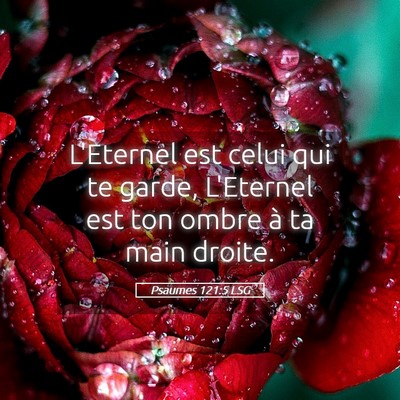 Picture 05 - Psaumes 121:5 LSG - L'Eternel est celui qui te garde, L'Eternel est - Bible Verse Picture