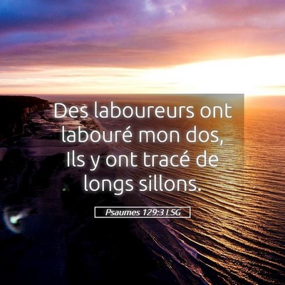 Picture 05 - Psaumes 129:3 LSG - Des laboureurs ont labouré mon dos, Ils y ont - Bible Verse Picture