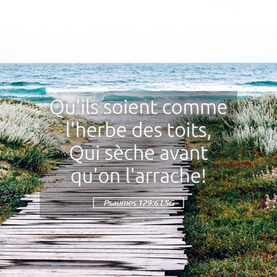 Picture 05 - Psaumes 129:6 LSG - Qu'ils soient comme l'herbe des toits, Qui sèche - Bible Verse Picture
