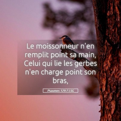 Picture 05 - Psaumes 129:7 LSG - Le moissonneur n'en remplit point sa main, Celui - Bible Verse Picture
