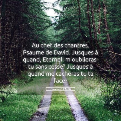 Picture 05 - Psaumes 13:1 LSG - Au chef des chantres. Psaume de David. Jusques à - Bible Verse Picture
