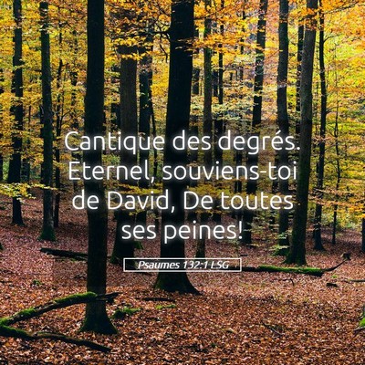 Picture 05 - Psaumes 132:1 LSG - Cantique des degrés. Eternel, souviens-toi de - Bible Verse Picture