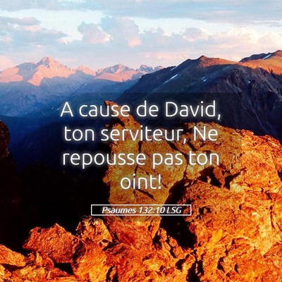 Picture 05 - Psaumes 132:10 LSG - A cause de David, ton serviteur, Ne repousse pas - Bible Verse Picture
