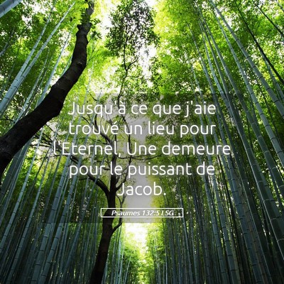 Picture 05 - Psaumes 132:5 LSG - Jusqu'à ce que j'aie trouvé un lieu pour - Bible Verse Picture