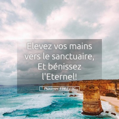 Picture 05 - Psaumes 134:2 LSG - Elevez vos mains vers le sanctuaire, Et bénissez - Bible Verse Picture