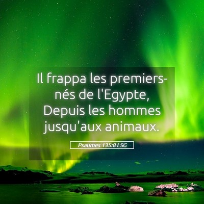 Picture 05 - Psaumes 135:8 LSG - Il frappa les premiers-nés de l'Egypte, Depuis - Bible Verse Picture