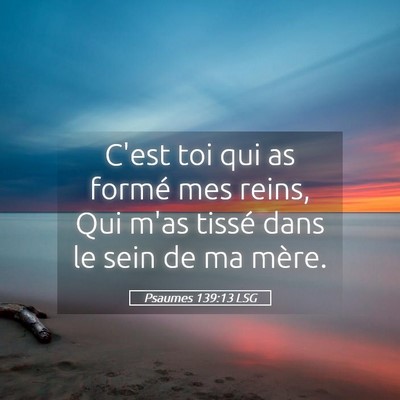 Picture 05 - Psaumes 139:13 LSG - C'est toi qui as formé mes reins, Qui m'as - Bible Verse Picture