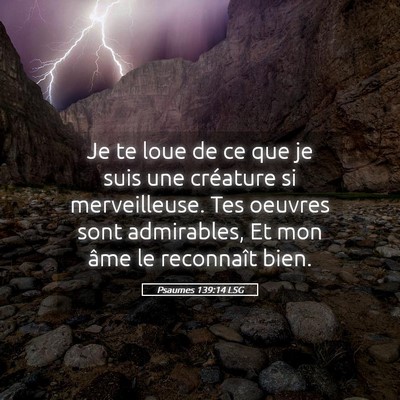 Picture 05 - Psaumes 139:14 LSG - Je te loue de ce que je suis une créature si - Bible Verse Picture