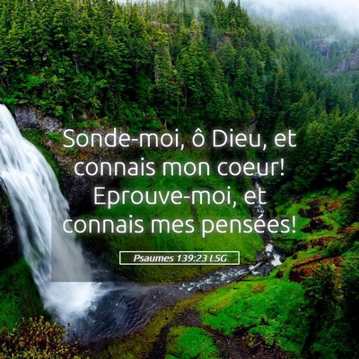 Picture 05 - Psaumes 139:23 LSG - Sonde-moi, ô Dieu, et connais mon coeur! - Bible Verse Picture
