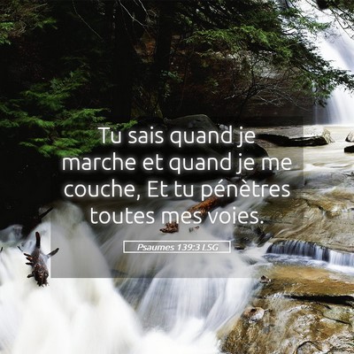 Picture 05 - Psaumes 139:3 LSG - Tu sais quand je marche et quand je me couche, Et - Bible Verse Picture
