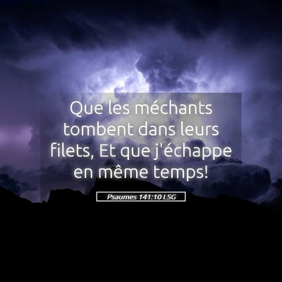 Picture 05 - Psaumes 141:10 LSG - Que les méchants tombent dans leurs filets, Et - Bible Verse Picture