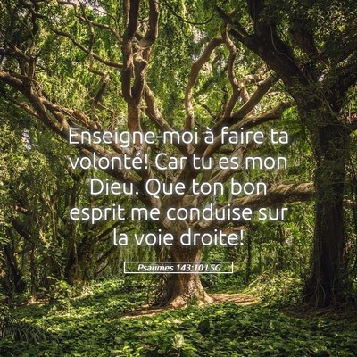 Picture 05 - Psaumes 143:10 LSG - Enseigne-moi à faire ta volonté! Car tu es mon - Bible Verse Picture
