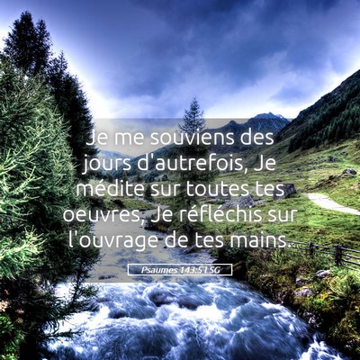 Picture 05 - Psaumes 143:5 LSG - Je me souviens des jours d'autrefois, Je médite - Bible Verse Picture