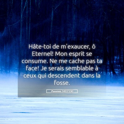 Picture 05 - Psaumes 143:7 LSG - Hâte-toi de m'exaucer, ô Eternel! Mon esprit se - Bible Verse Picture
