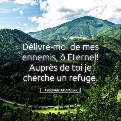 Picture 05 - Psaumes 143:9 LSG - Délivre-moi de mes ennemis, ô Eternel! Auprès - Bible Verse Picture
